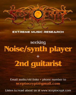 Synth player guitarist advert