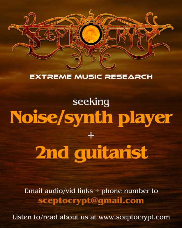 Synth player guitarist advert